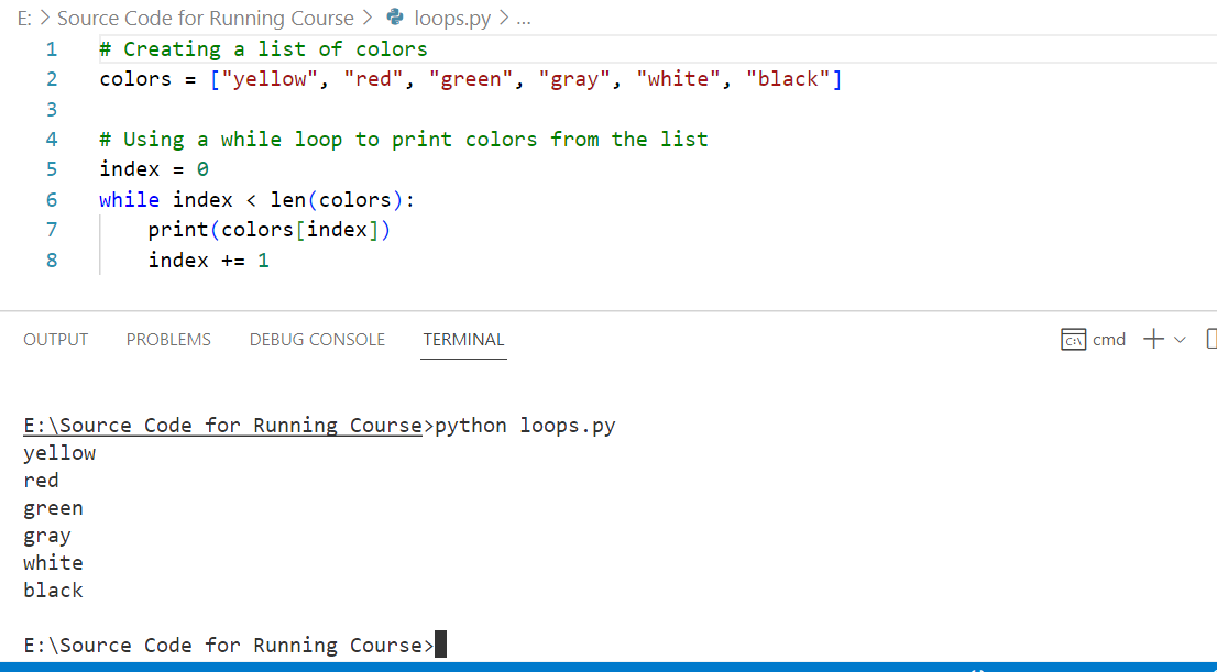 Python Loops example