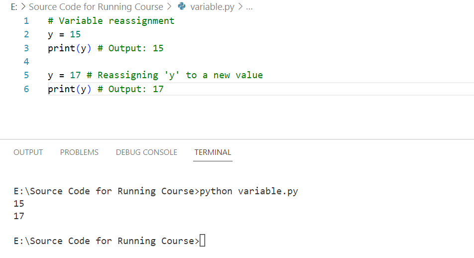 Python Variables examples